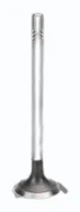MONTTRON engine valve: a single poppet valve standing upright, with its long stem, the collet grooves at the tip and the polished head